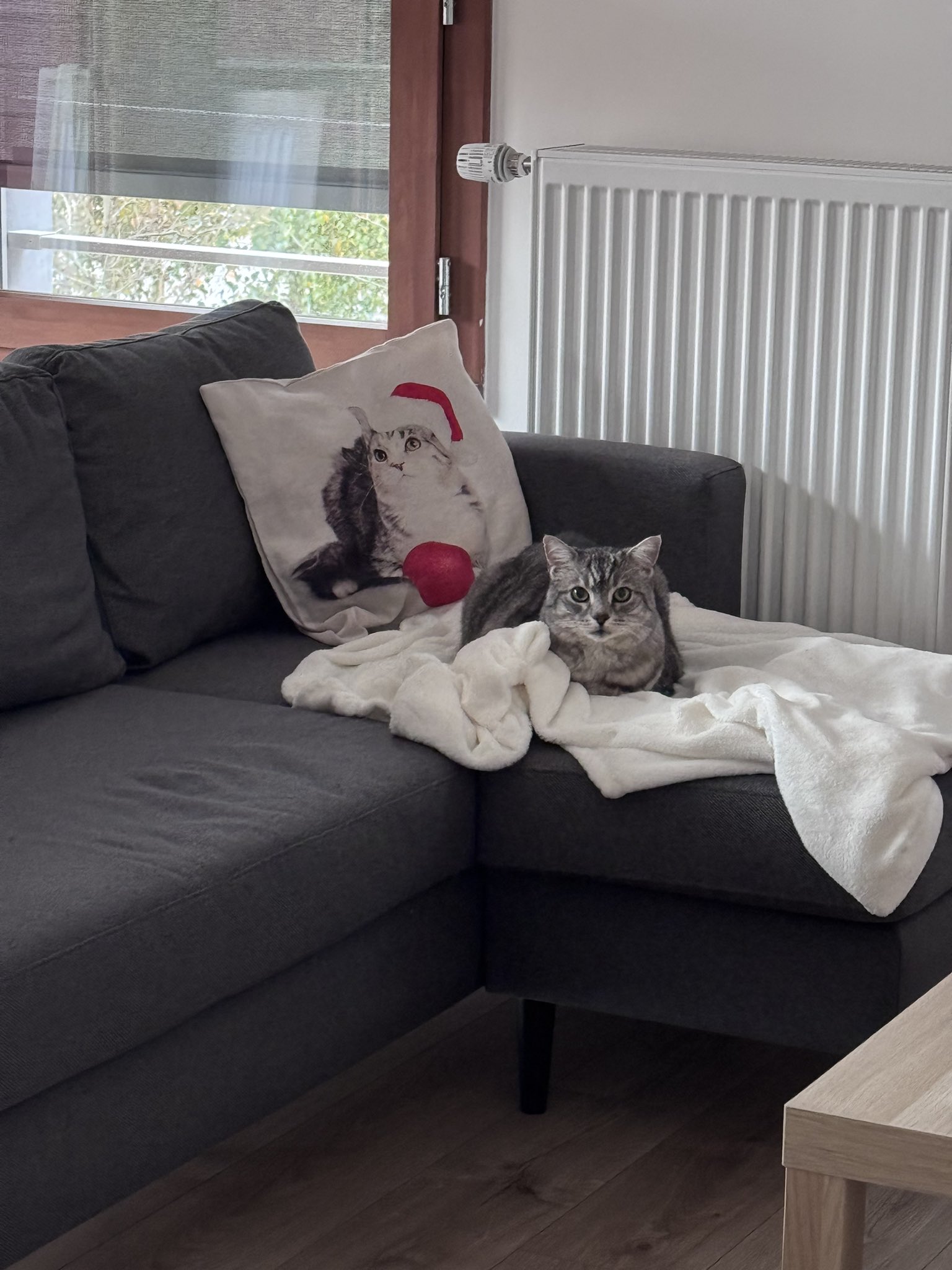 Martin Seys & Greepy